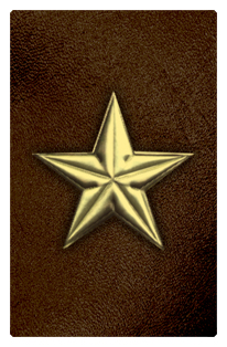 DF35T 430 GD BR Star Gold Brown